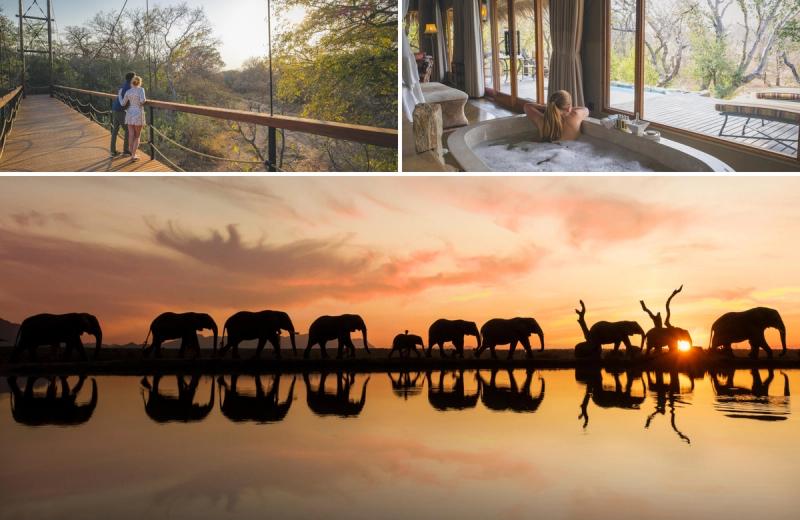 A safari lodge experience showing a suspension bridge arrival, a soaking tub overlooking the bush, and elephants reflected in a sunset waterhole, capturing the essence of lodges with the best waterholes where life unfolds at every hour.