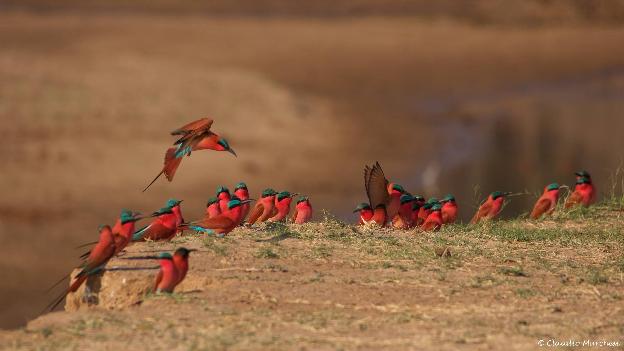 Mana Pools National Park - Adventurous Safari-Lover's Best-Kept Secret