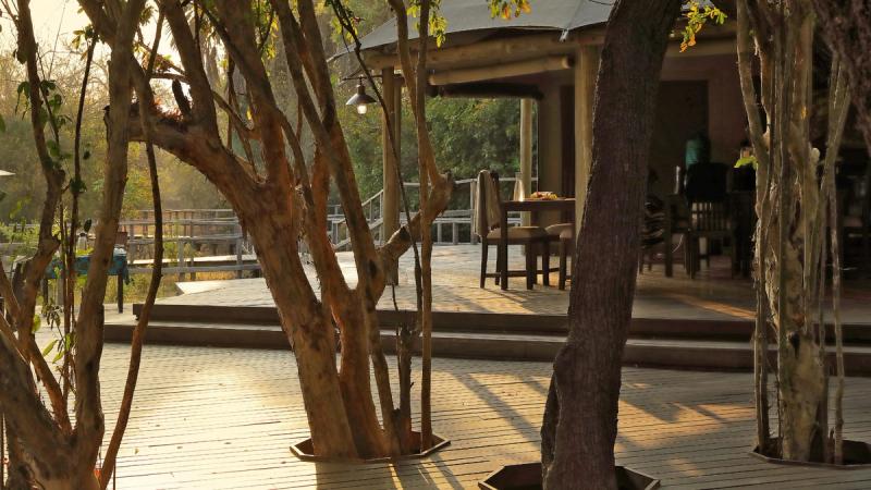Sunlit trees frame the deck and dining area of a camp during a Gorongosa safari.