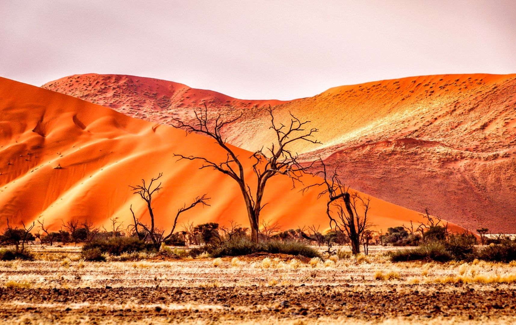 Traumziel Afrika in 100 Bildern