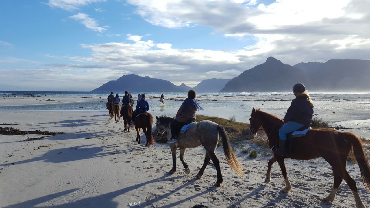 Horse Riding on Cape Town's Beaches