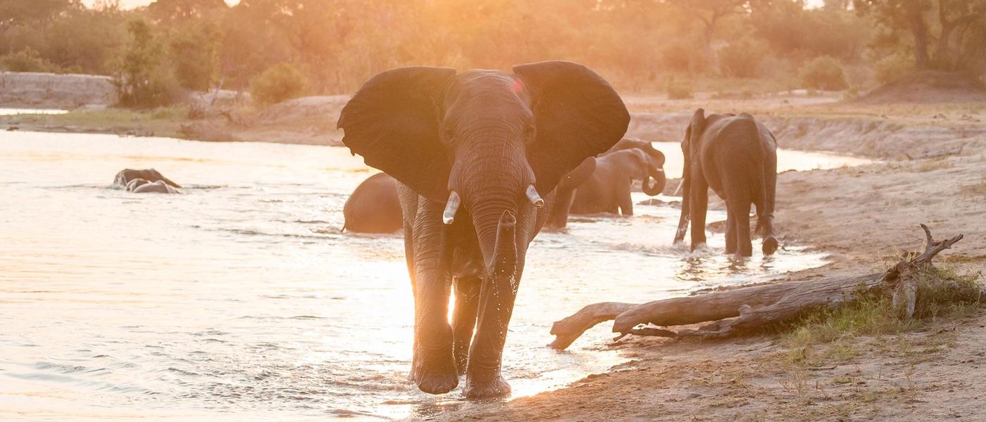 Les informations pratiques sur la réouverture de l’Afrique du Sud