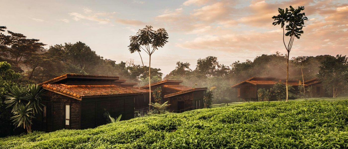 Tour por Ruanda y la República del Congo