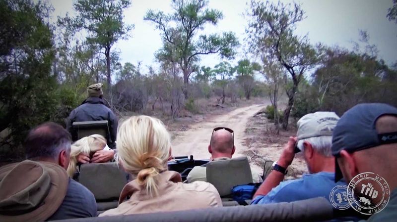 Boomers on Safari