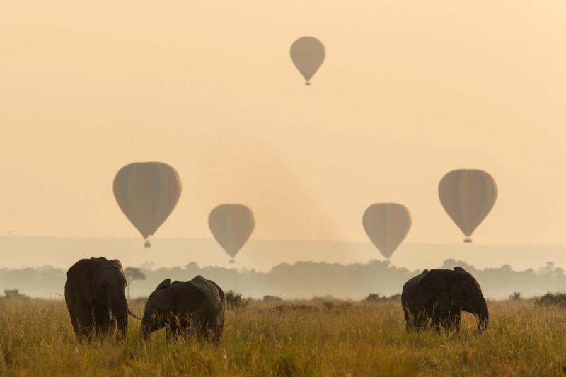 Elephants roam the grasslands below a sky filled with hot air balloons, capturing the magic of a return trip to Africa in a different season.