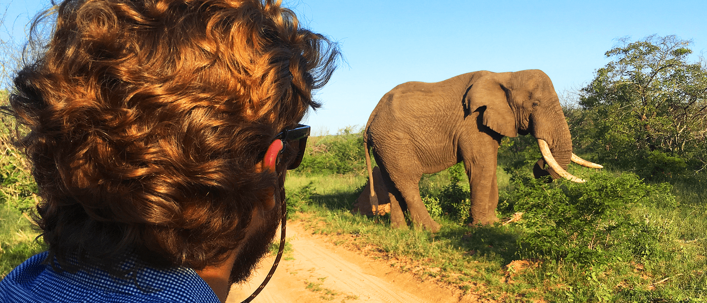 Uma experiência de safári na Reserva Karongwe, África do Sul