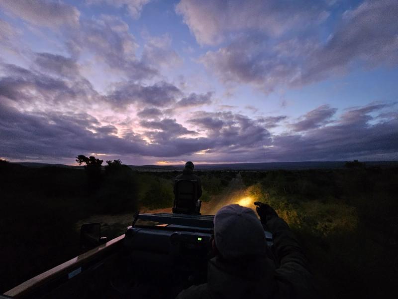 Night drive at Kwandwe Private Game Reserve
