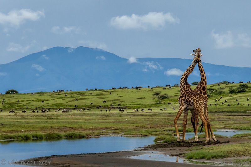 Africa off the Beaten Track