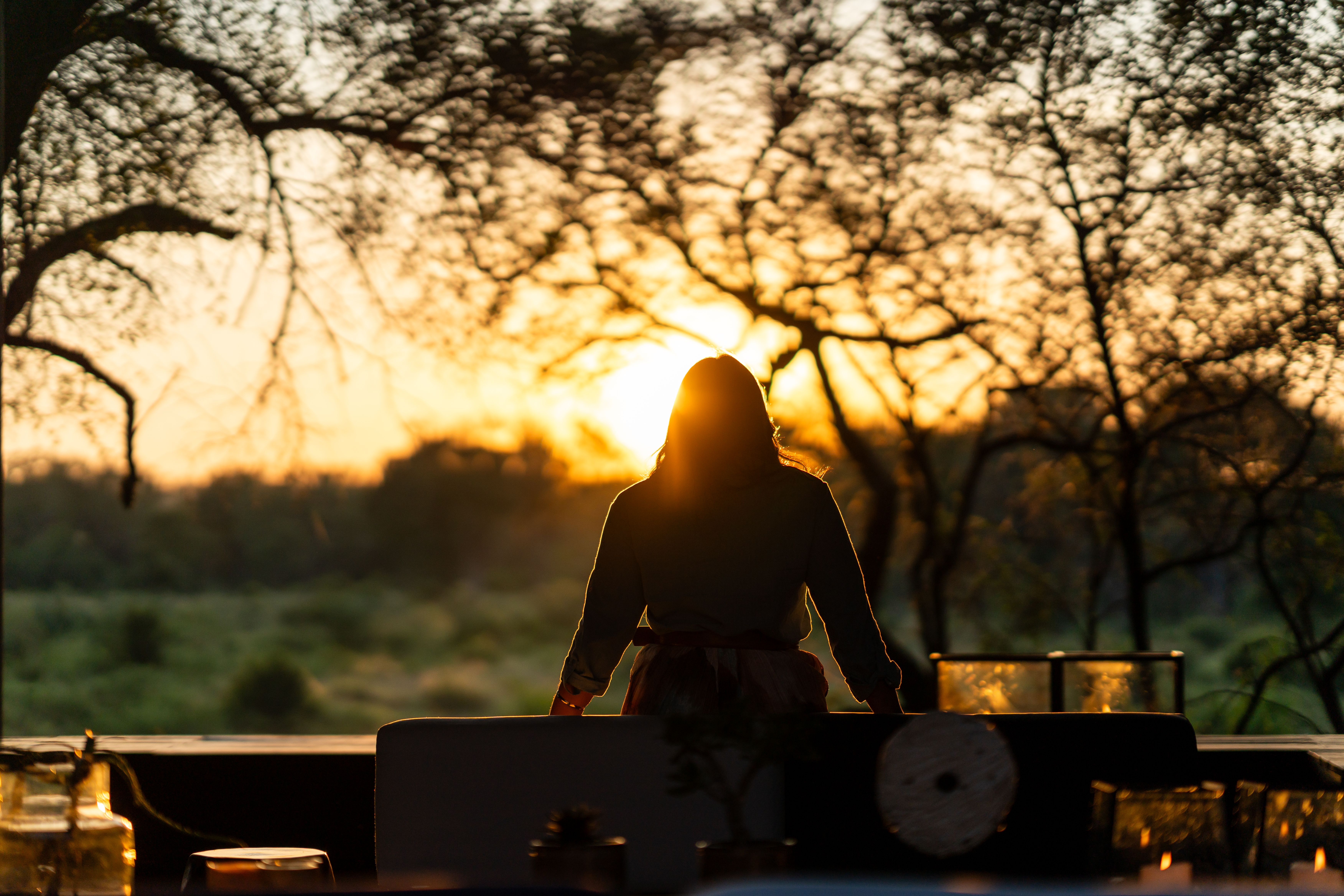 Revisit Southern Africa: Human Rewilding Loading