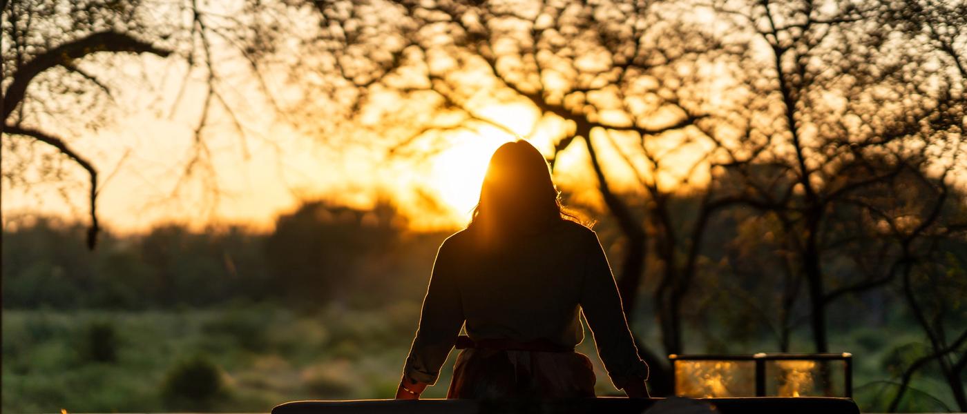 Revisit Southern Africa: Human Rewilding Loading