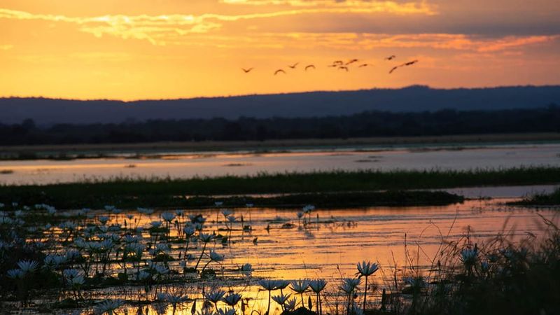 Coucher de soleil dans le Parc National de Gorongosa