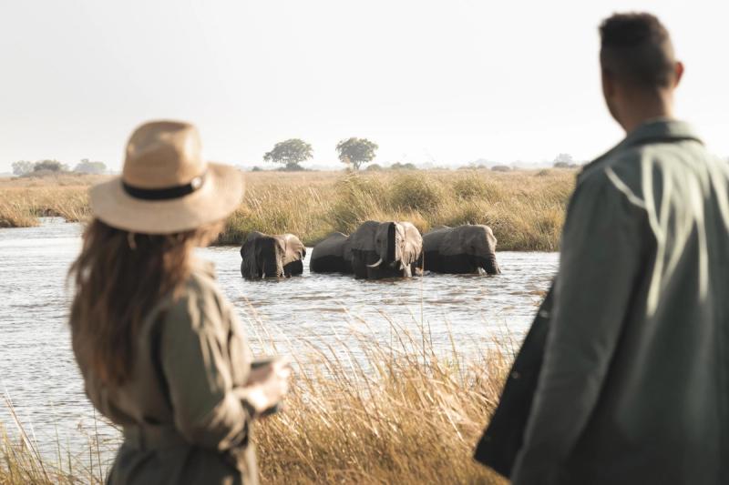 A group of elephants wade through a river as two people observe during a safari in October.