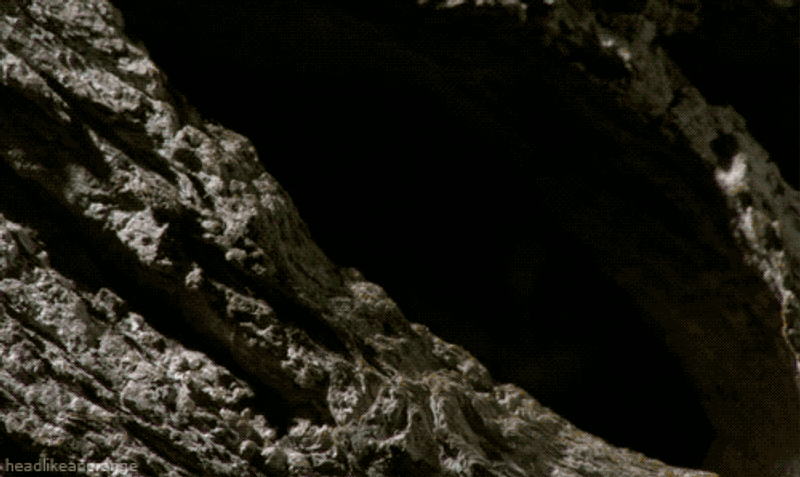 Nagapie gif