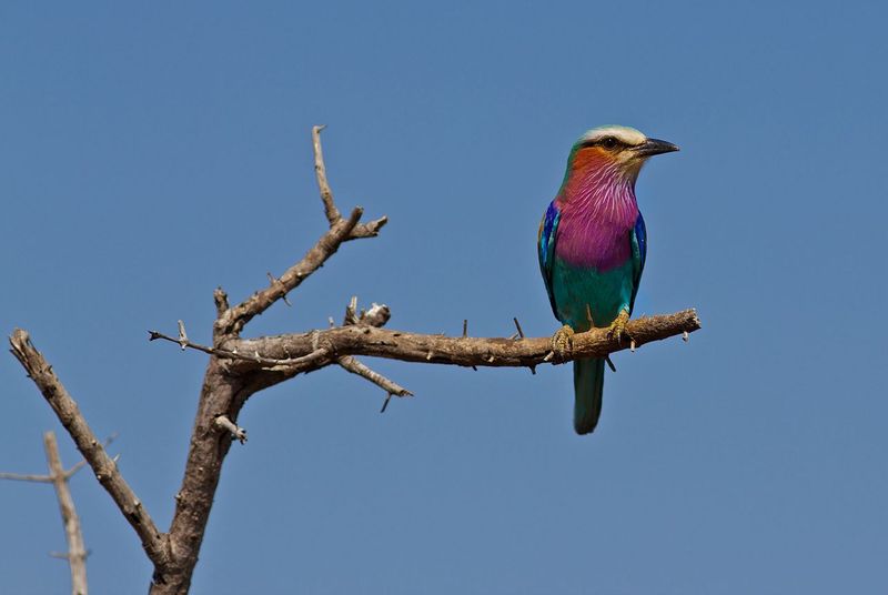 A sight to behold while on walking safari