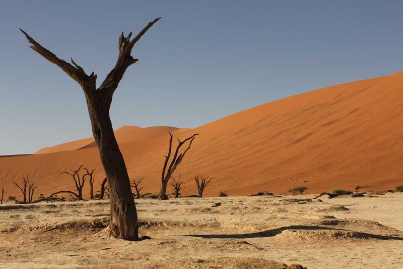 The Dead Vlei in Nambia