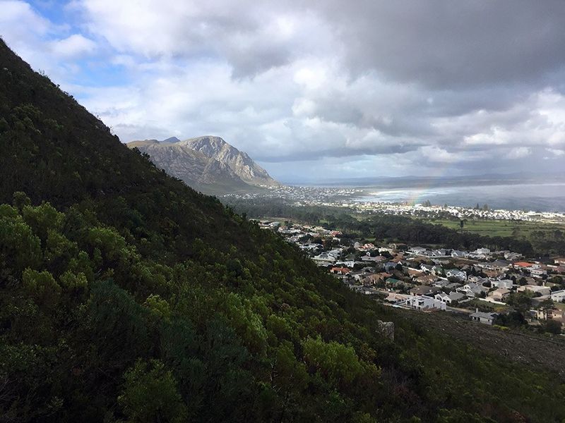 Hermanus vista da Reserva Natural Fernkloof. Foto: Nathalia Marangoni