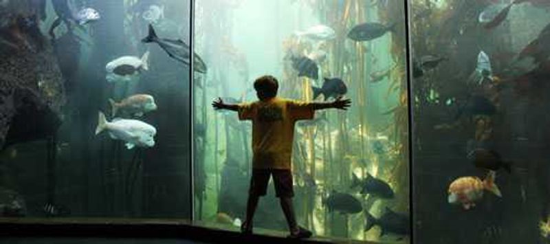 2Oceans Aquarium