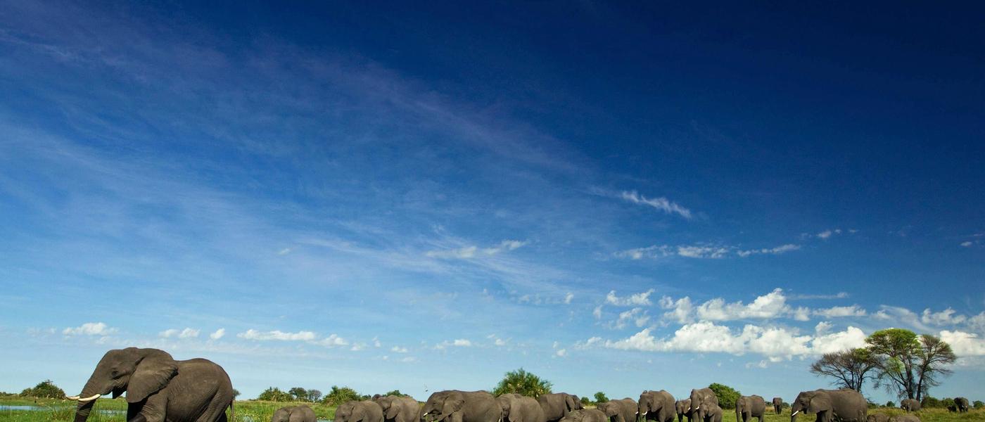 8 raisons de visiter le Botswana pendant la Saison des Pluies