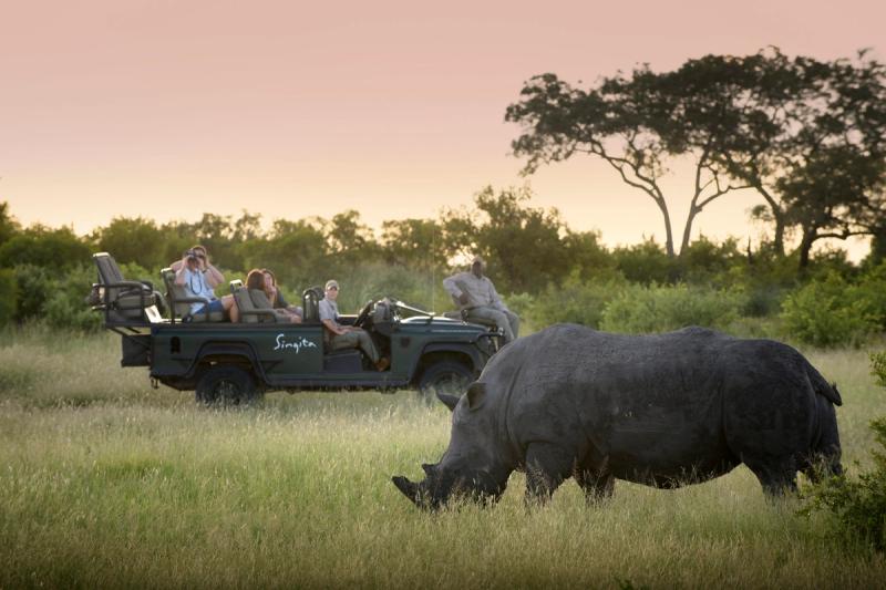 Singita guests on a game drive in Kruger National Park watch and photograph a rhinoceros grazing in the grass at sunset.