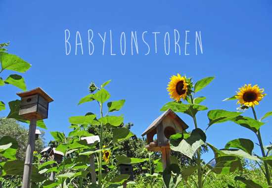 Holiday To-Do List #1: Babylonstoren