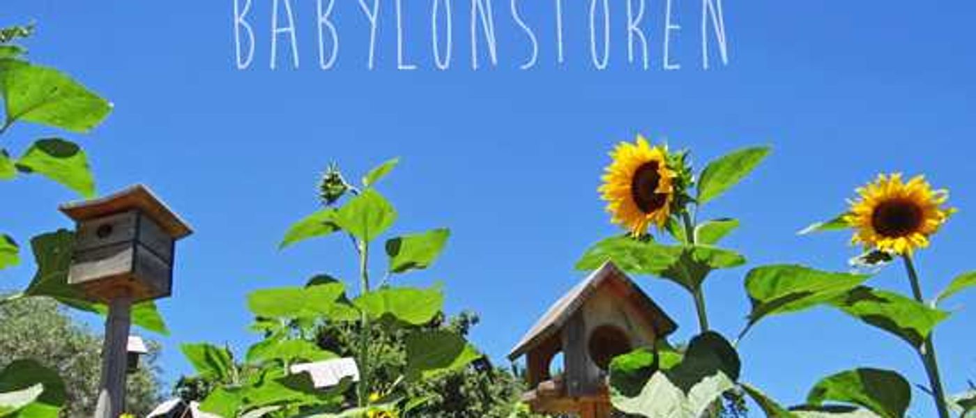 Holiday To-Do List #1: Babylonstoren