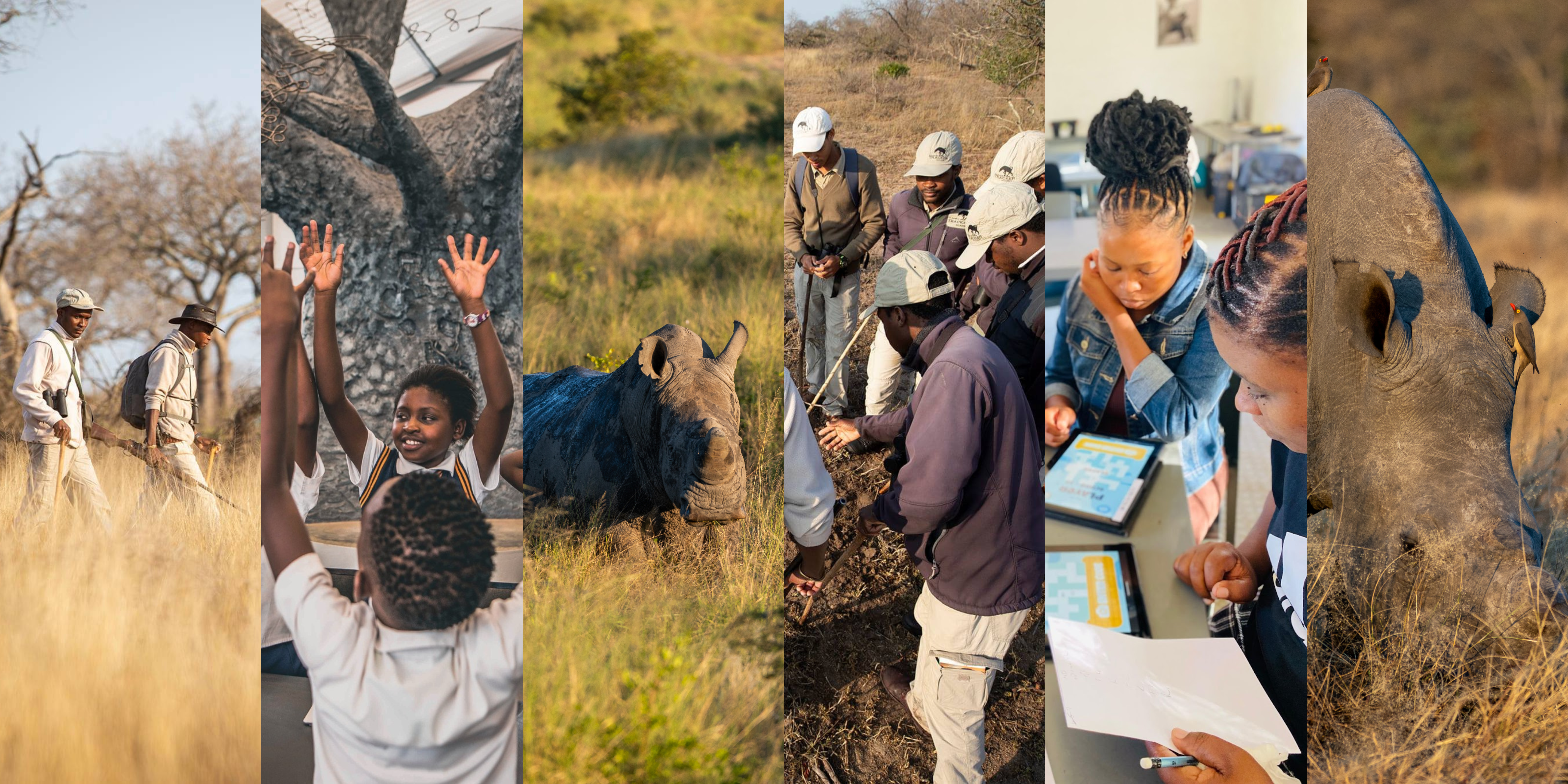 The Rhino Renaissance: Our Collective Path to Victory