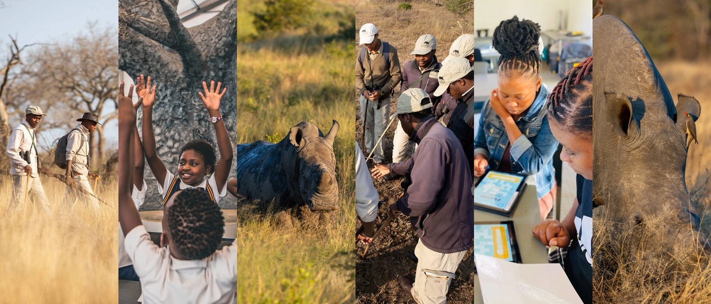 The Rhino Renaissance: Our Collective Path to Victory