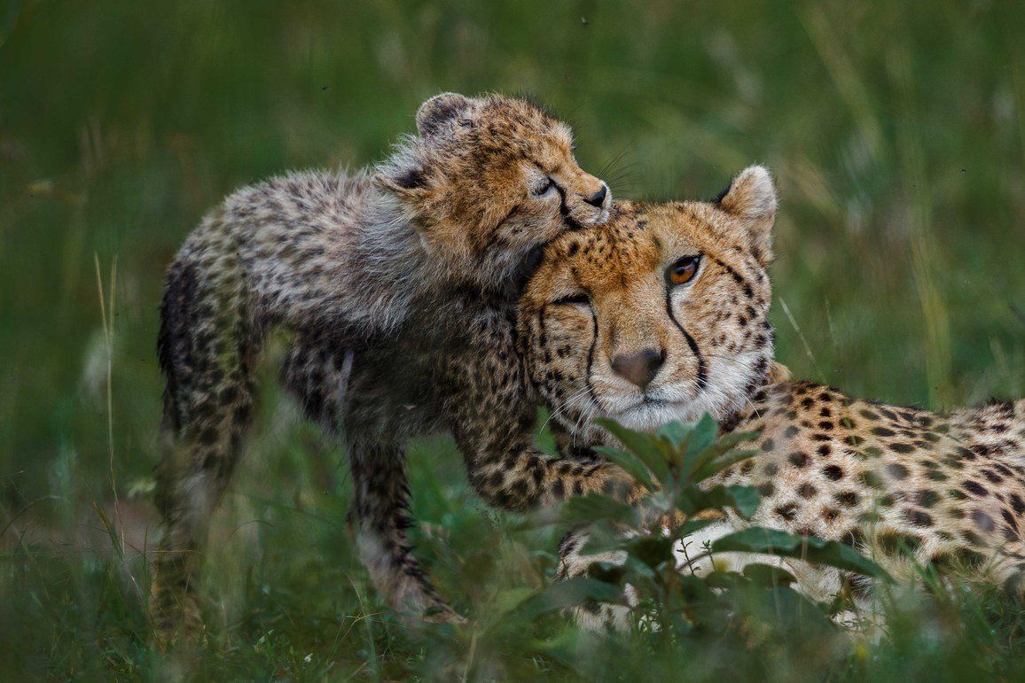 Start von Africa’s Photographer of the Year 2021
