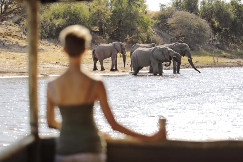 Woman standing on a balcony overlooking the Boteti River and the elephants playing on the shore