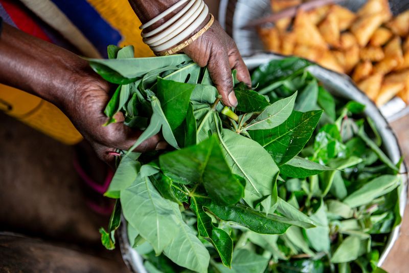 Rwanda is investing in a greener future