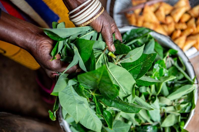 Rwanda is investing in a greener future