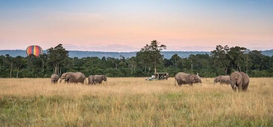 África Oriental em Imagens