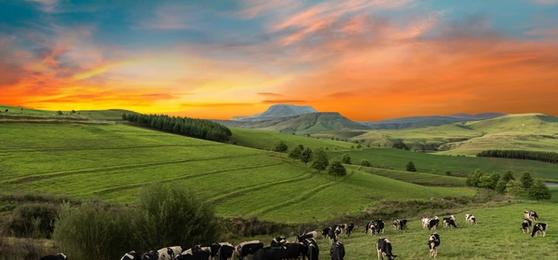 Ihr KwaZulu-Natal Reiseguide