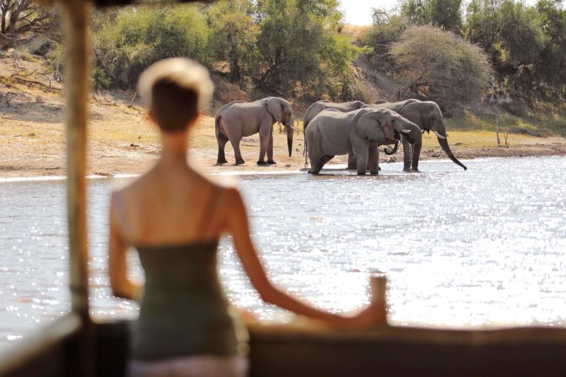 Woman standing on a balcony overlooking the Boteti River and the elephants playing on the shore