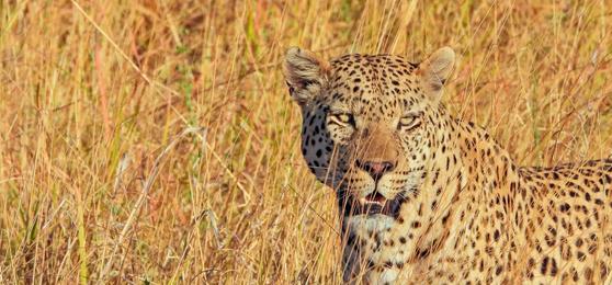 5 Lessons Botswana Taught a Travel Expert