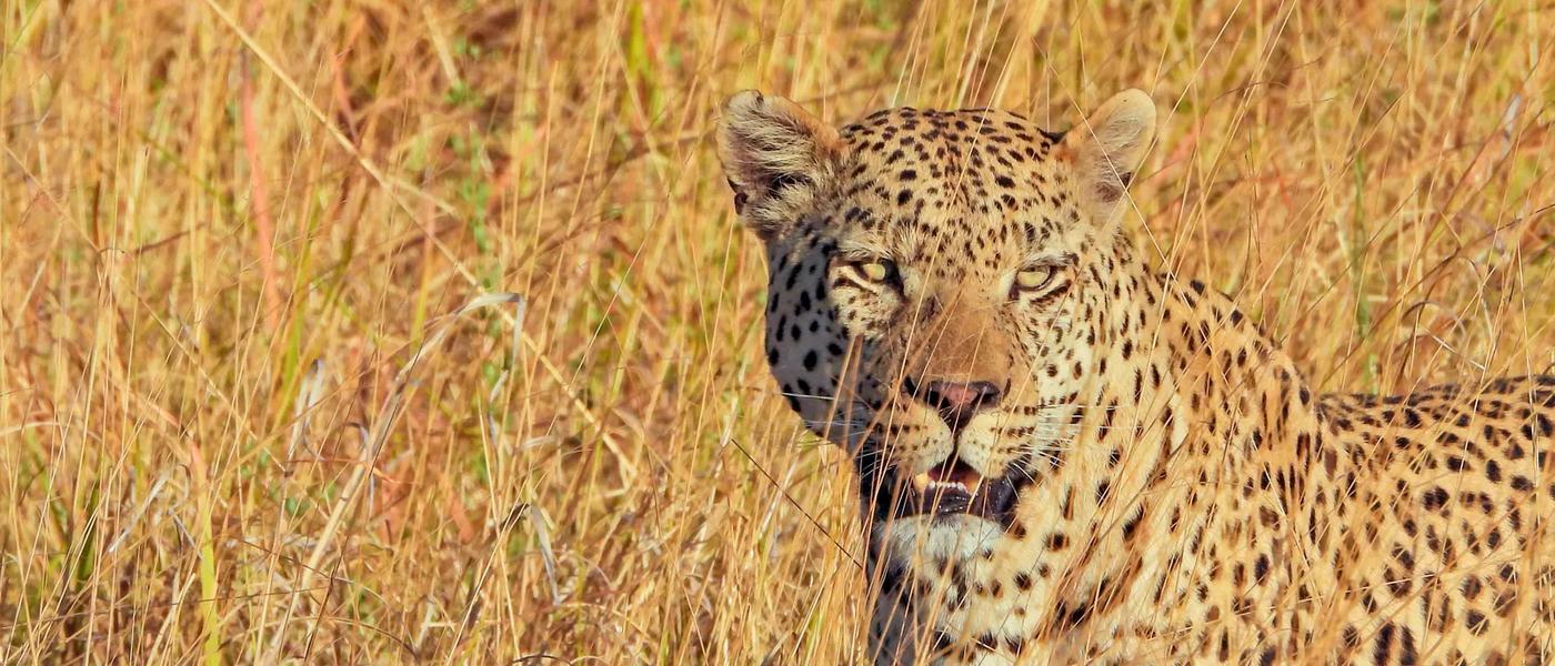 5 Lessons Botswana Taught a Travel Expert