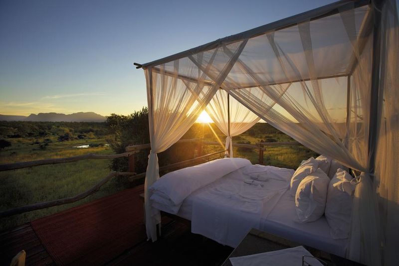 Romantic tree house for sleep out in Kapama Private Game Reserve