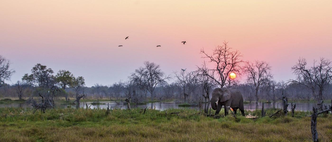 Welcome to the Jungle: How Botswana Became Africa’s Success Story