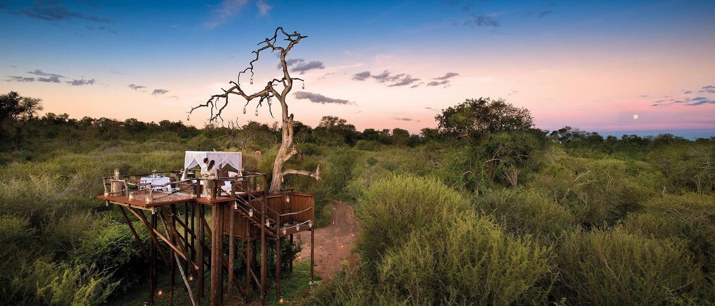 Romantic Safari and Honeymoon Experiences in Africa