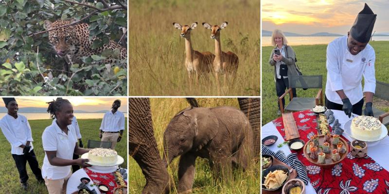A vibrant photo collage captures close-up wildlife sightings and a joyful bush birthday celebration, showing that the best time to visit Rwanda blends thrill with thoughtful touches.