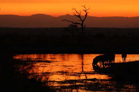 Explore South Africa