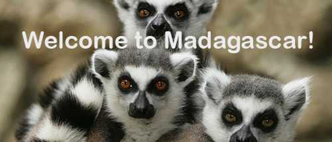 Madagascar Update