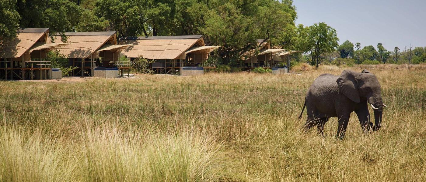 3 Best Eco-friendly Safari Lodges