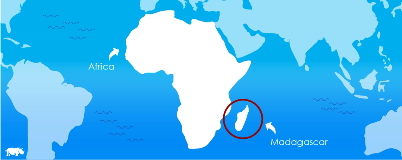 An Africa Map indicating Madagascar 