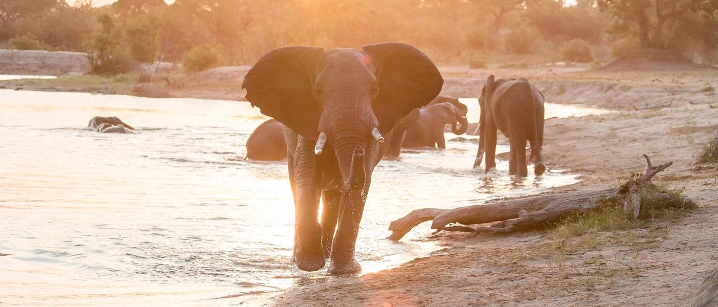24 horas de safari en el Kruger: todo lo que siempre quisiste saber