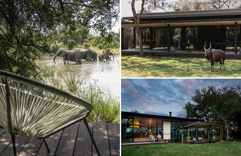 Elephants drinking at a waterhole beside Tanda Tula, alongside views of the lodge exterior and a nyala grazing peacefully on the grounds.
