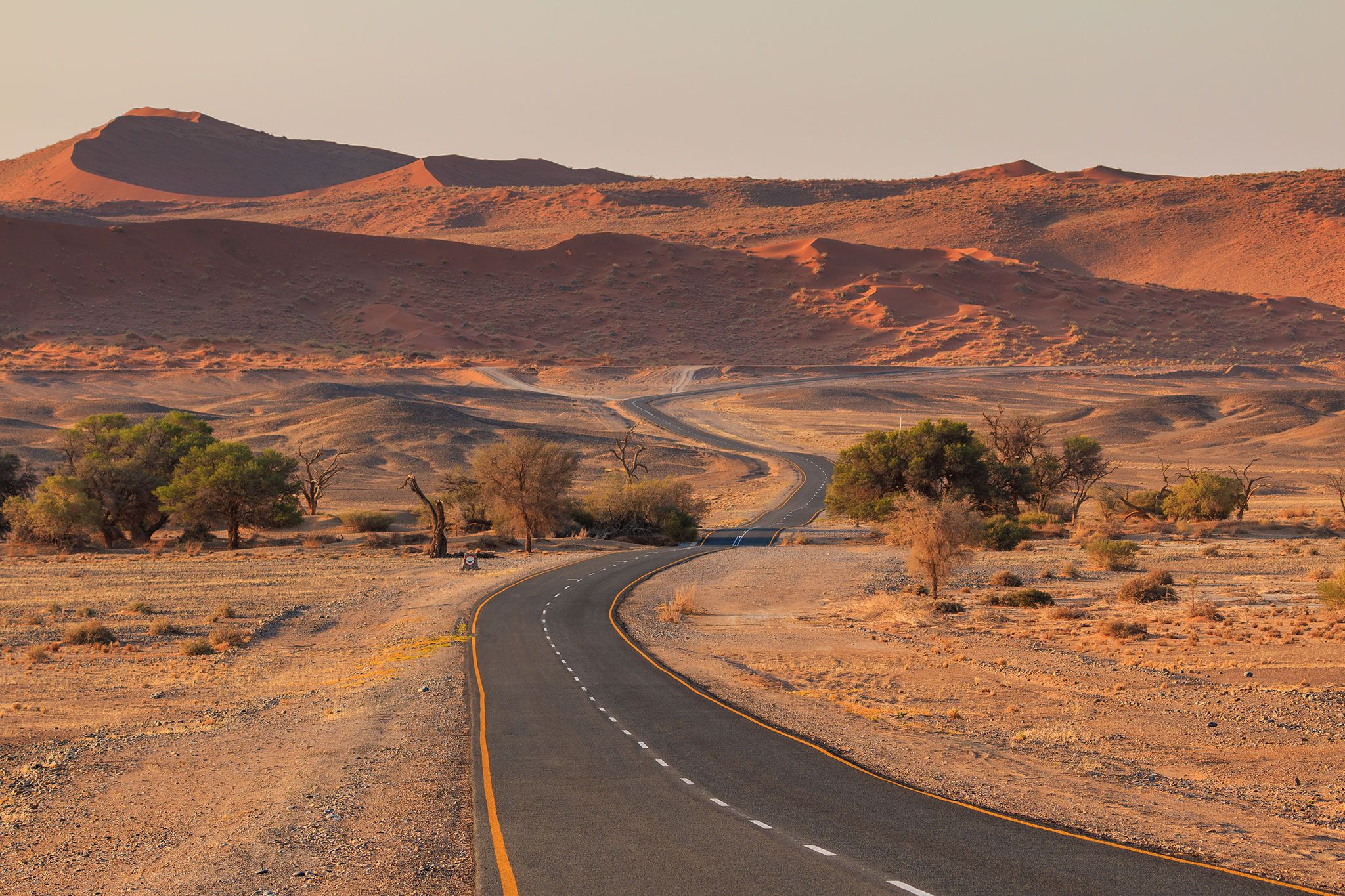 One Road, Endless Horizons: A Self-Drive Journey Through Namibia