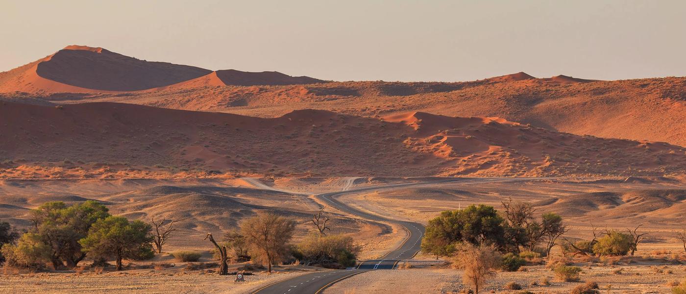One Road, Endless Horizons: A Self-Drive Journey Through Namibia