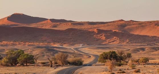 One Road, Endless Horizons: A Self-Drive Journey Through Namibia