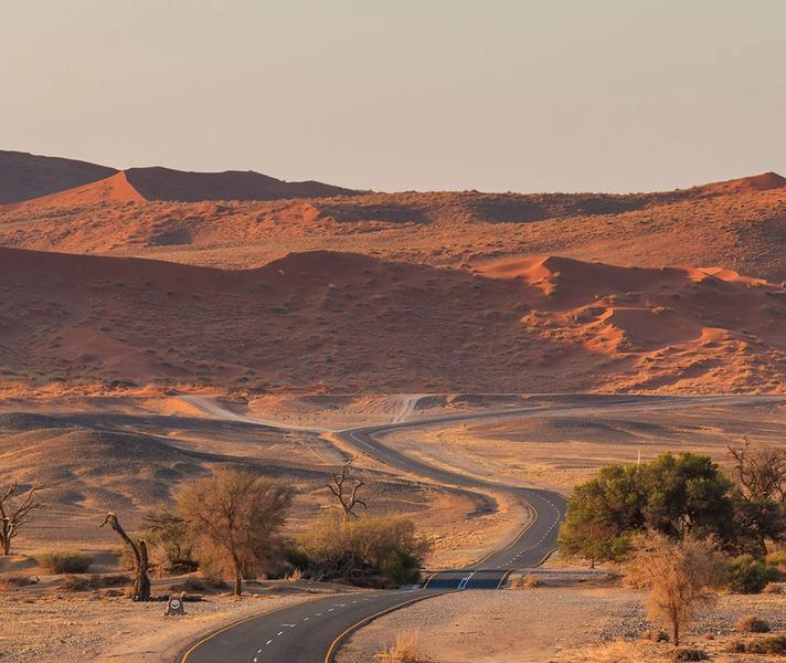Une Route, des Horizons Infinis : Un Road Trip en Namibie